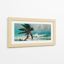 Palmera - Caperh | Cuadro decorativo de Canvas Lab