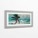 Palmera - Caperh | Cuadro decorativo de Canvas Lab