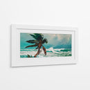 Palmera - Caperh | Cuadro decorativo de Canvas Lab