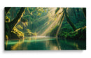 Paraíso - Caperh | Cuadro decorativo de Canvas Lab