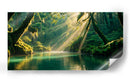 Paraíso - Caperh | Cuadro decorativo de Canvas Lab