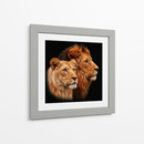 Pareja de leones - Caperh | Cuadro decorativo de Canvas Lab