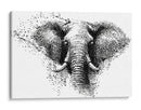 Constelación Elefante - DIEGO D L | Cuadro decorativo de Canvas Lab
