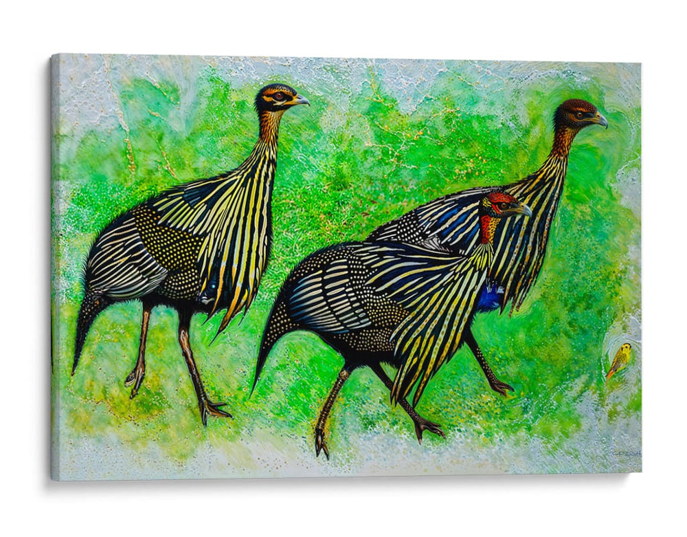 Pintadas vulturinas - Caperh | Cuadro decorativo de Canvas Lab