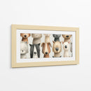 Colección de Patitas - DIEGO D L | Cuadro decorativo de Canvas Lab