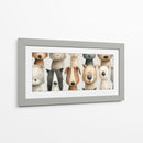 Colección de Patitas - DIEGO D L | Cuadro decorativo de Canvas Lab