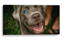 Wink Canino - DIEGO D L | Cuadro decorativo de Canvas Lab