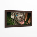 Wink Canino - DIEGO D L | Cuadro decorativo de Canvas Lab