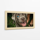 Wink Canino - DIEGO D L | Cuadro decorativo de Canvas Lab