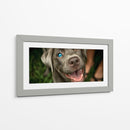 Wink Canino - DIEGO D L | Cuadro decorativo de Canvas Lab