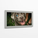 Wink Canino - DIEGO D L | Cuadro decorativo de Canvas Lab