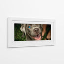 Wink Canino - DIEGO D L | Cuadro decorativo de Canvas Lab
