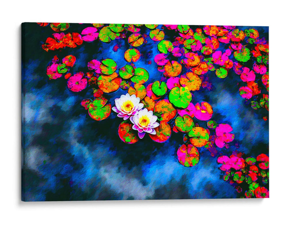 Solo flores de loto - DIEGO D L | Cuadro decorativo de Canvas Lab