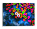 Solo flores de loto - DIEGO D L | Cuadro decorativo de Canvas Lab