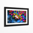 Solo flores de loto - DIEGO D L | Cuadro decorativo de Canvas Lab