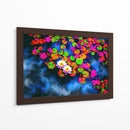 Solo flores de loto - DIEGO D L | Cuadro decorativo de Canvas Lab