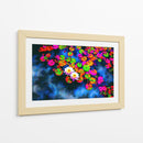 Solo flores de loto - DIEGO D L | Cuadro decorativo de Canvas Lab