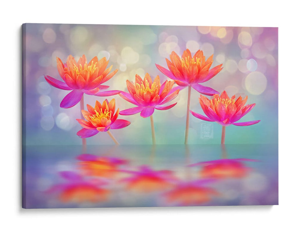 Loto - DIEGO D L | Cuadro decorativo de Canvas Lab