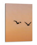 Vuelo en atardecer - E Ordóñez | Cuadro decorativo de Canvas Lab