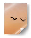 Vuelo en atardecer - E Ordóñez | Cuadro decorativo de Canvas Lab
