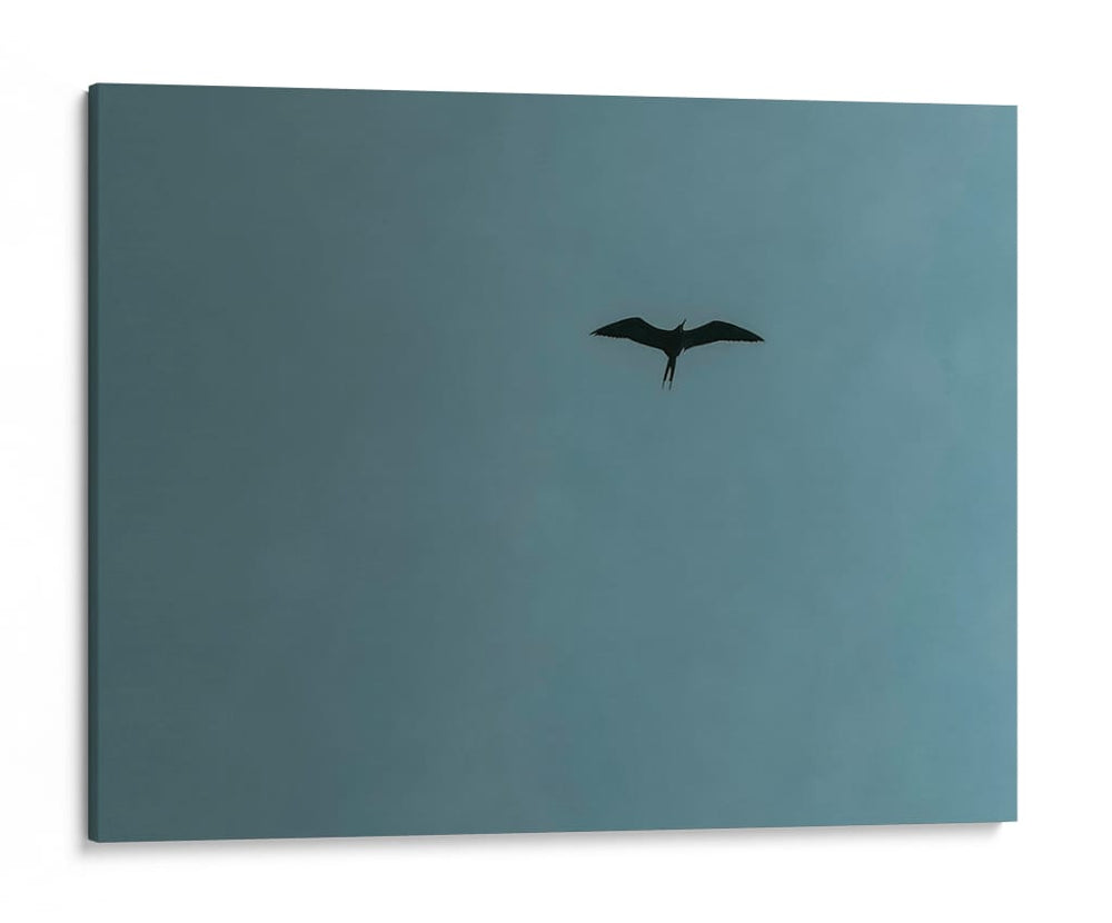 Above silence - E Ordóñez | Cuadro decorativo de Canvas Lab