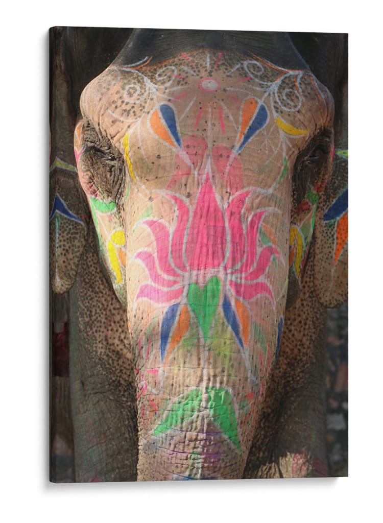 Mirada de elefante en refugio de Jaipur, la India - Luis Rodrigo Magaña Andrade | Cuadro decorativo de Canvas Lab