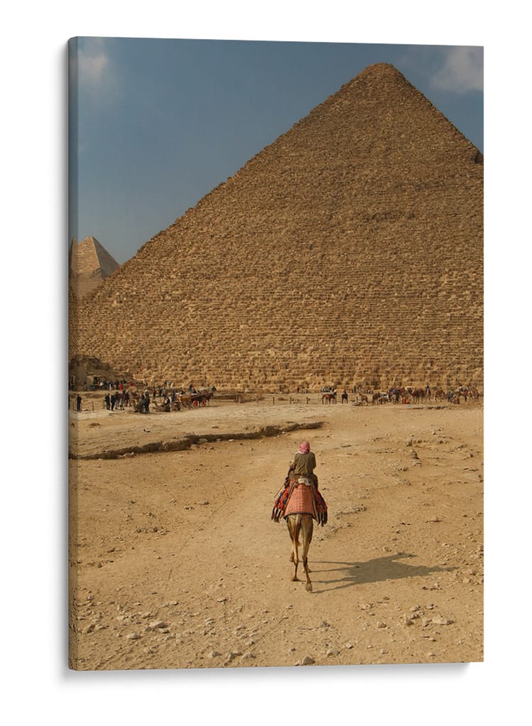 Camello en las pirámides de Egipto - Luis Rodrigo Magaña Andrade | Cuadro decorativo de Canvas Lab
