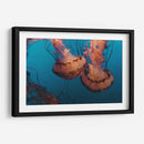 Baile de medusas | Cuadro decorativo de Canvas Lab