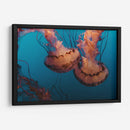 Baile de medusas | Cuadro decorativo de Canvas Lab