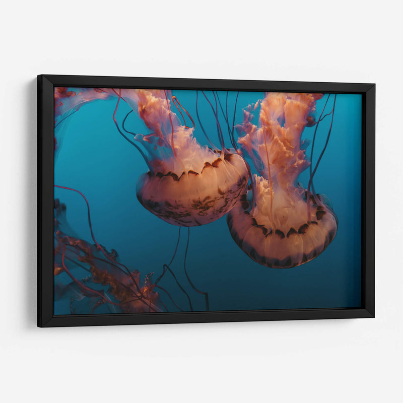 Baile de medusas | Cuadro decorativo de Canvas Lab