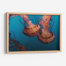 Baile de medusas | Cuadro decorativo de Canvas Lab