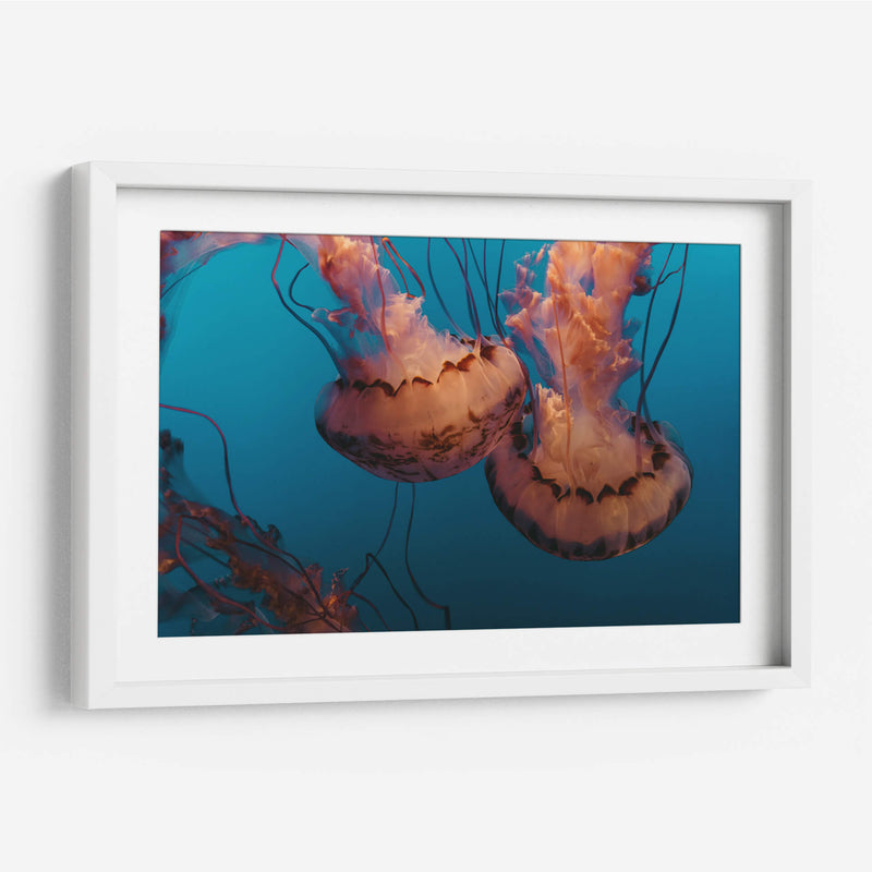 Baile de medusas | Cuadro decorativo de Canvas Lab