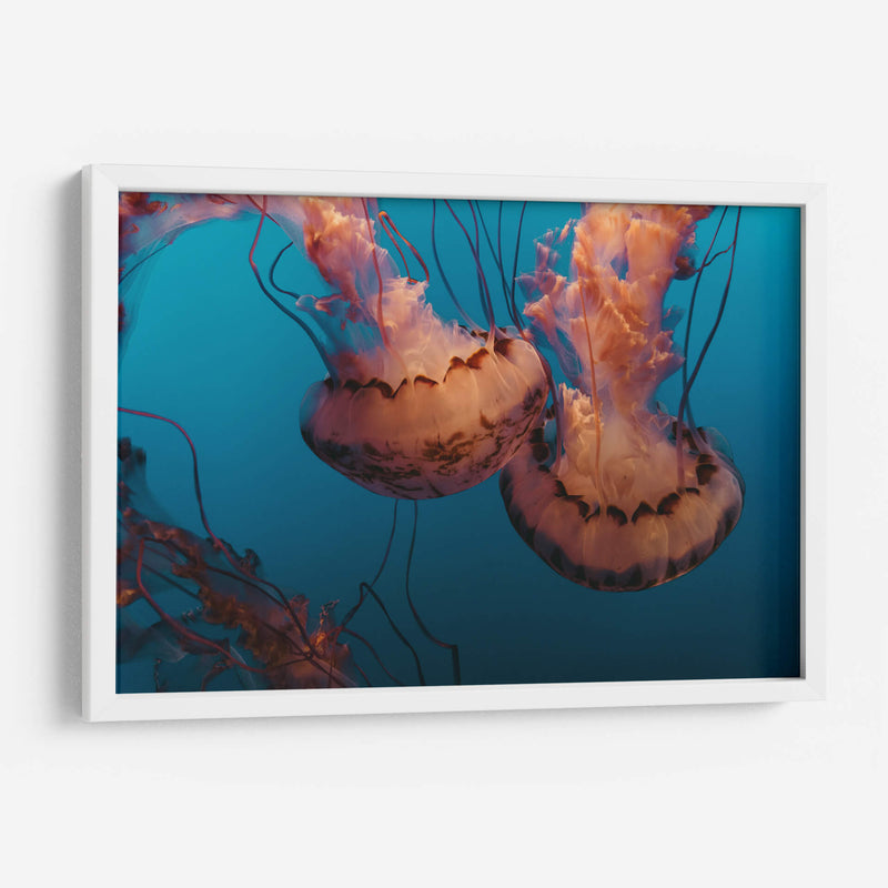 Baile de medusas | Cuadro decorativo de Canvas Lab