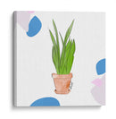 Planta serpiente | Cuadro decorativo de Canvas Lab