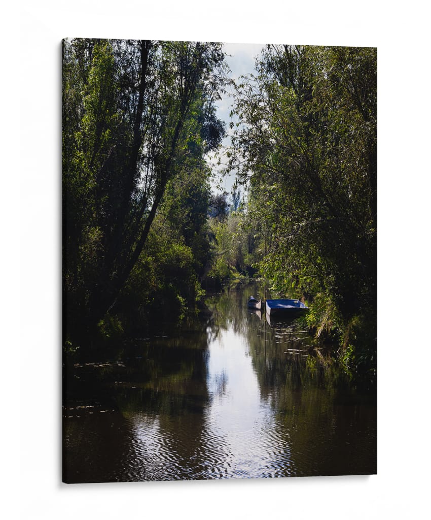 Canales de Xochimilco - Alan050 | Cuadro decorativo de Canvas Lab