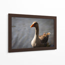 Inocencia curiosa - Alan050 | Cuadro decorativo de Canvas Lab