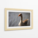 Inocencia curiosa - Alan050 | Cuadro decorativo de Canvas Lab