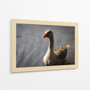 Inocencia curiosa - Alan050 | Cuadro decorativo de Canvas Lab
