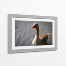 Inocencia curiosa - Alan050 | Cuadro decorativo de Canvas Lab