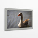Inocencia curiosa - Alan050 | Cuadro decorativo de Canvas Lab