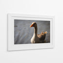 Inocencia curiosa - Alan050 | Cuadro decorativo de Canvas Lab