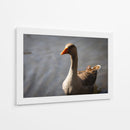 Inocencia curiosa - Alan050 | Cuadro decorativo de Canvas Lab