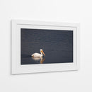 Lago pelican - Alan050 | Cuadro decorativo de Canvas Lab
