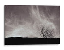 Comala - E Ordóñez | Cuadro decorativo de Canvas Lab