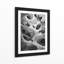 Hormigas en telarañas - DIEGO D L | Cuadro decorativo de Canvas Lab