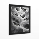 Hormigas en telarañas - DIEGO D L | Cuadro decorativo de Canvas Lab