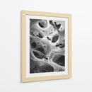 Hormigas en telarañas - DIEGO D L | Cuadro decorativo de Canvas Lab