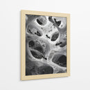 Hormigas en telarañas - DIEGO D L | Cuadro decorativo de Canvas Lab