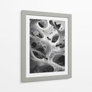 Hormigas en telarañas - DIEGO D L | Cuadro decorativo de Canvas Lab