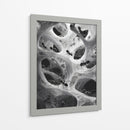 Hormigas en telarañas - DIEGO D L | Cuadro decorativo de Canvas Lab
